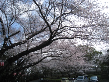 c0077338_5574241.jpg
