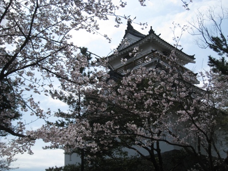 c0077338_558881.jpg