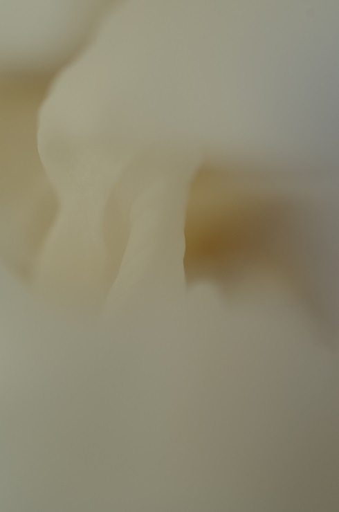 d0165741_15303775.jpg