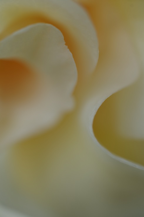 d0165741_1530481.jpg