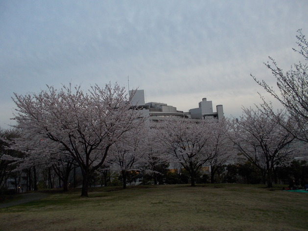 e0121548_2312518.jpg