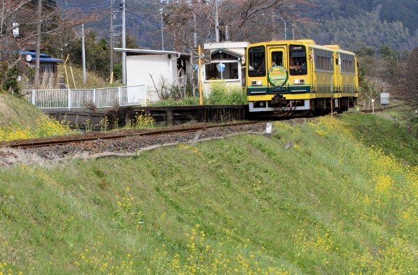 a0120949_6574880.jpg