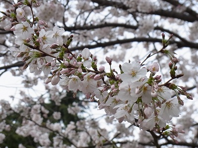 a0251851_1102680.jpg