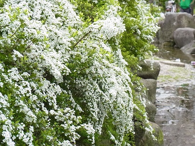 a0251851_110446.jpg