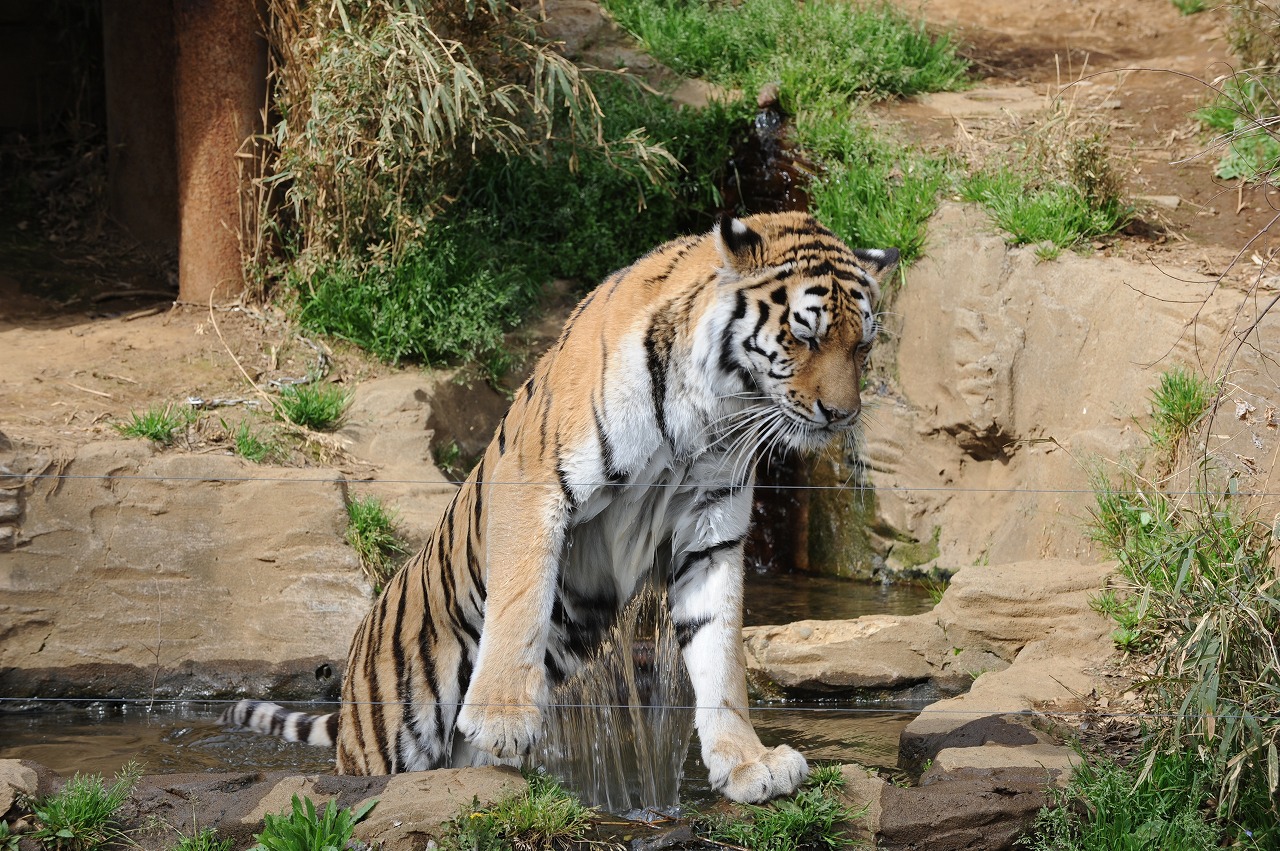 a0142056_16223666.jpg