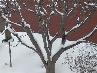 e0004756_2124761.jpg
