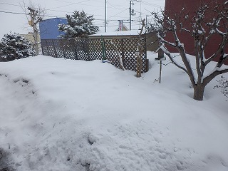 e0004756_215877.jpg