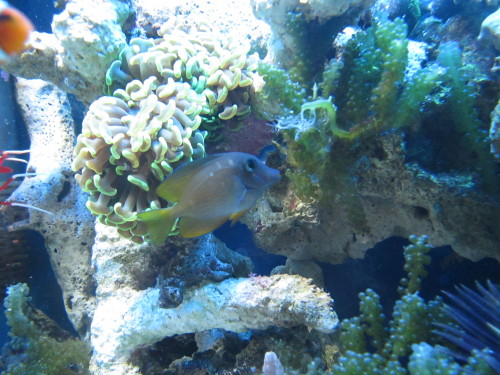 c0323958_16304731.jpg