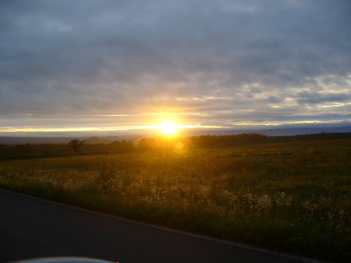 c0324959_16265288.jpg