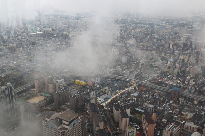 d0152261_23435543.jpg