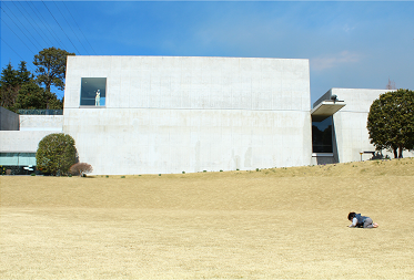 b0251466_21591863.png
