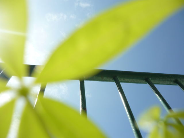 f0253467_19335296.jpg
