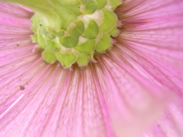 f0253467_1934590.jpg