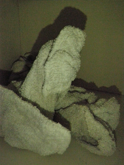 f0253467_19395611.jpg