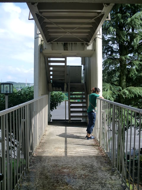 f0253467_1944727.jpg