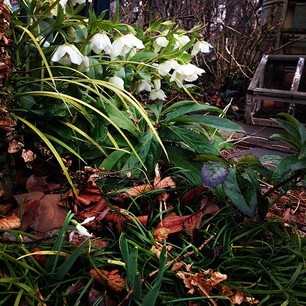 c0161571_14575449.jpg