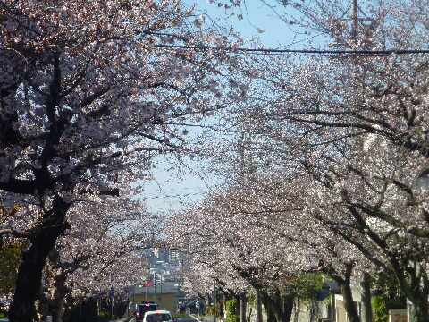 e0161972_9201298.jpg