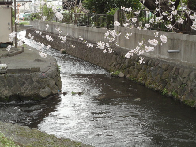 d0109373_17363413.jpg