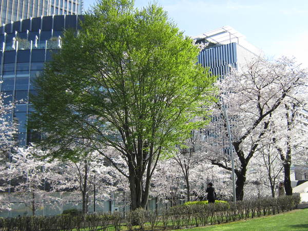 e0262977_222108.jpg