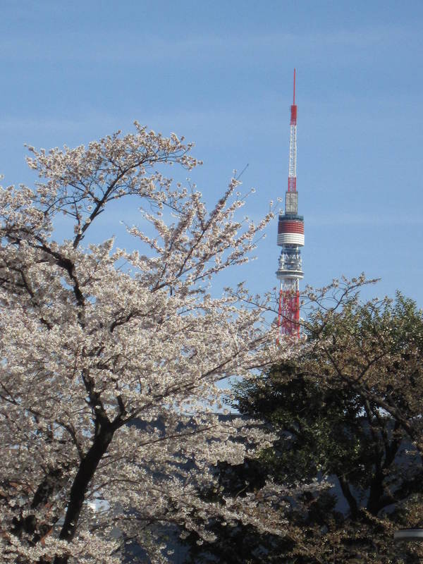 e0262977_223070.jpg