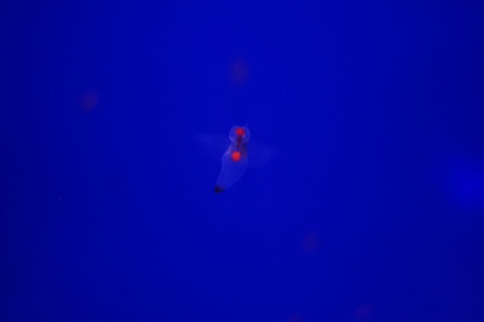 a0287278_19285792.jpg