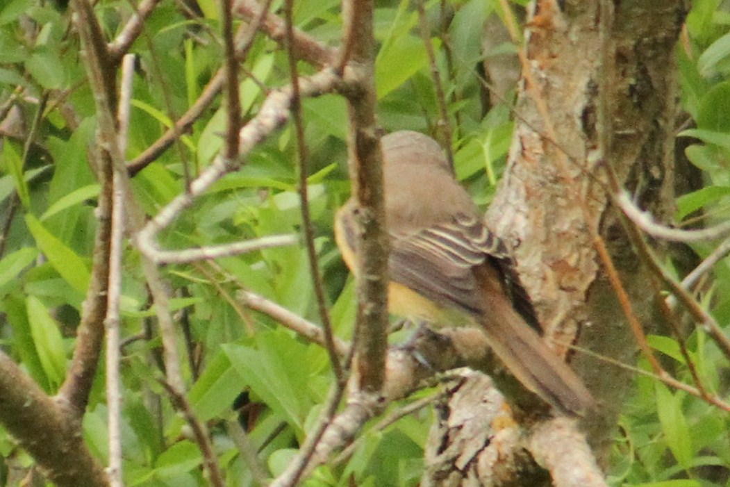 e0197884_21425152.jpg