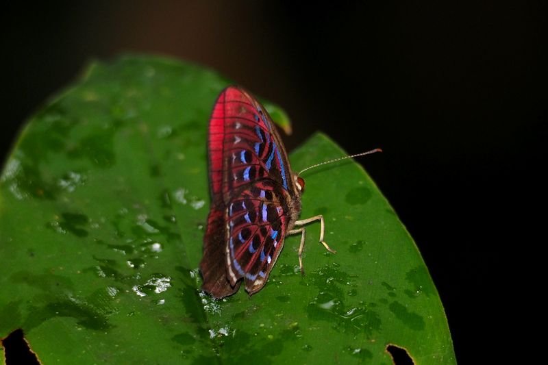 b0108186_0193285.jpg