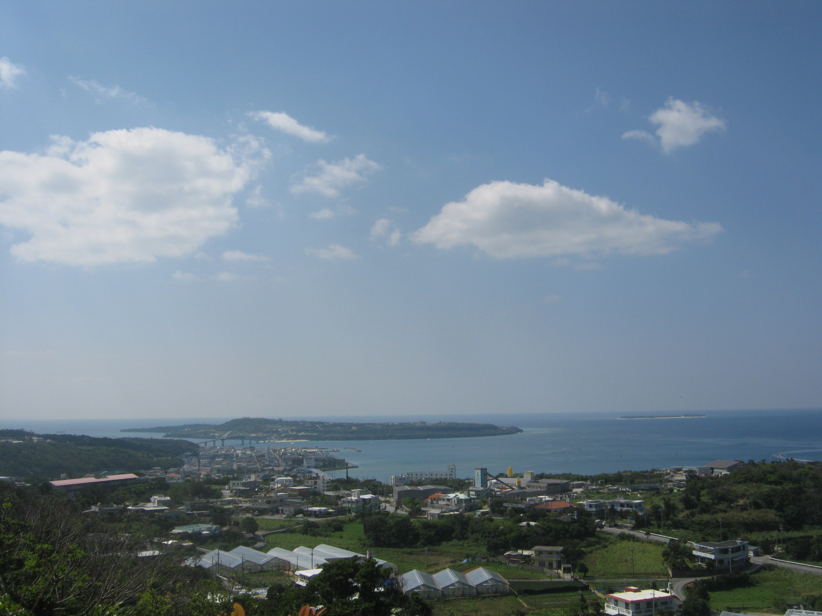 a0034487_19422856.jpg