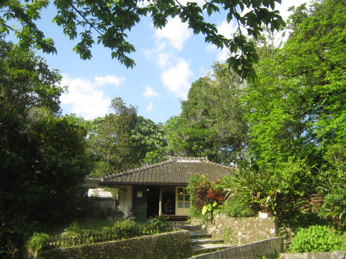 a0034487_1944230.jpg