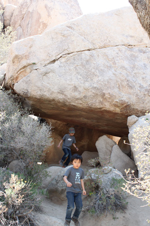 c0033994_1655336.jpg