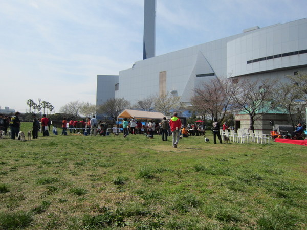 d0098295_22522433.jpg