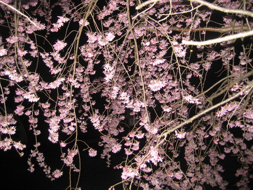 f0201297_6514190.jpg