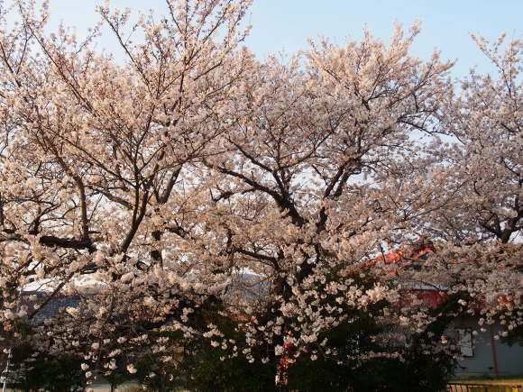 c0220700_17350857.jpg