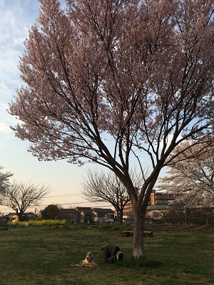 a0134004_22272282.jpg