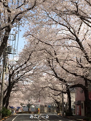 a0134004_22402197.jpg