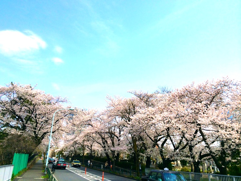 a0088007_21364356.jpg