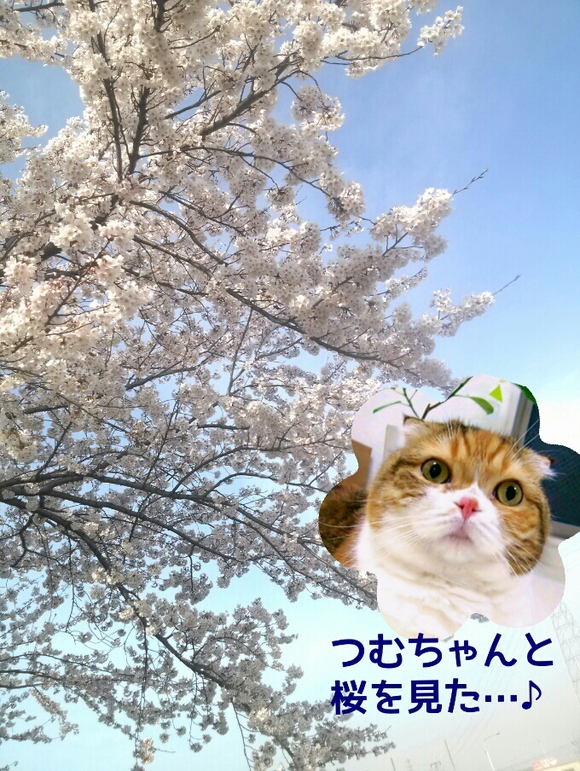 c0237608_1674262.jpg