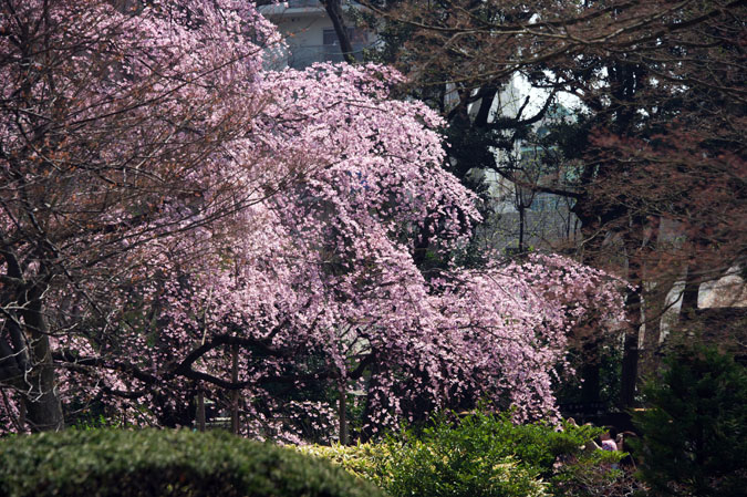 a0263109_19392467.jpg