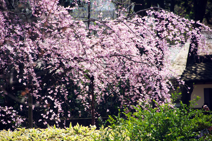 a0263109_19403958.jpg
