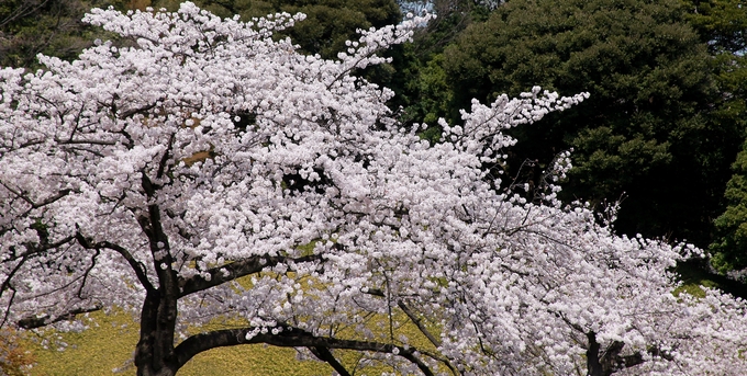 e0000910_2353539.jpg