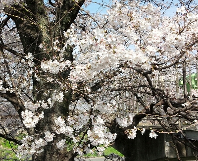 f0239713_13291732.jpg