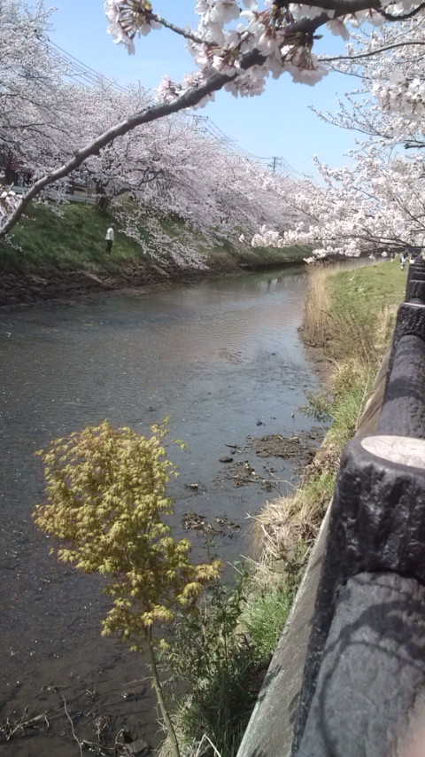 e0138314_12323953.jpg