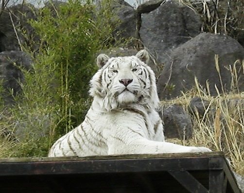 d0098316_2253148.jpg