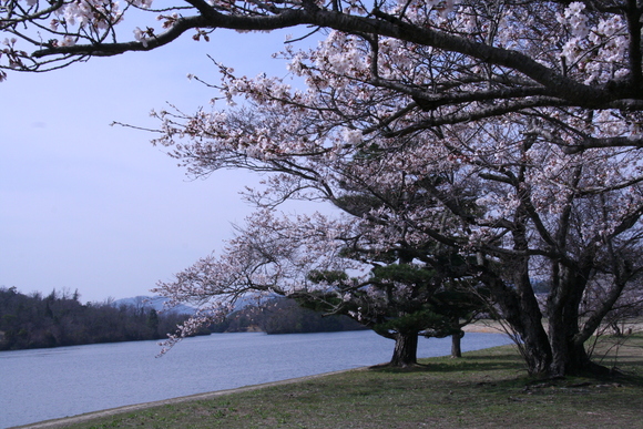 c0197220_12202270.jpg