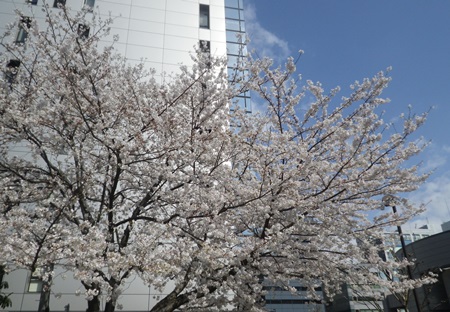 b0312424_23465913.jpg