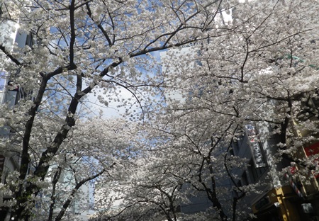 b0312424_23471692.jpg