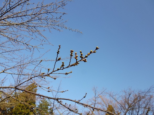 f0304030_727247.jpg
