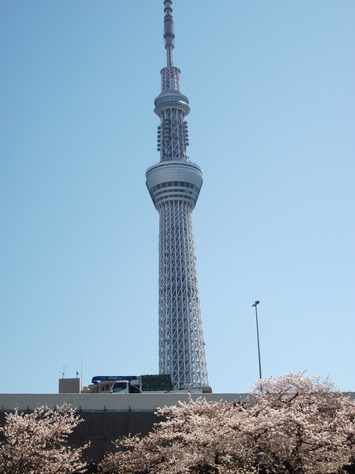 f0304030_7304714.jpg