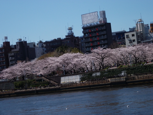 f0304030_7313130.jpg