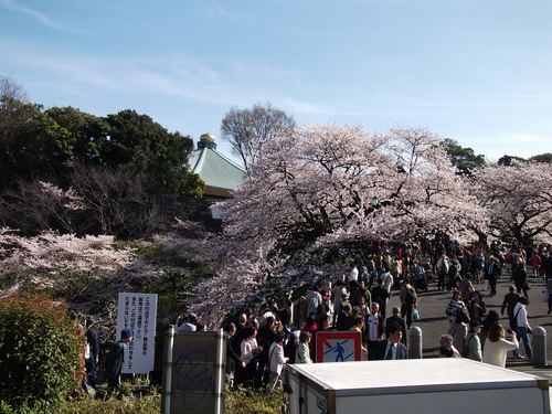 f0304030_744923.jpg